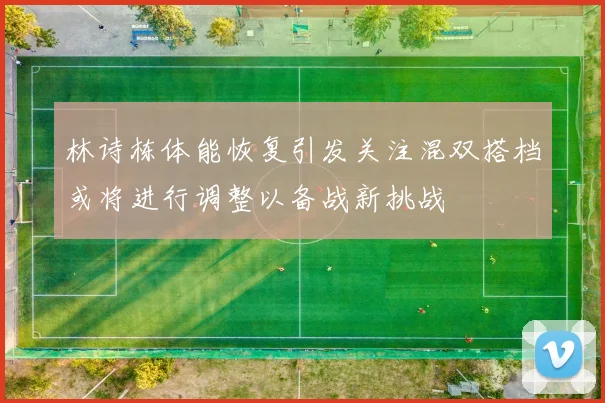 林诗栋体能恢复引发关注混双搭档或将进行调整以备战新挑战