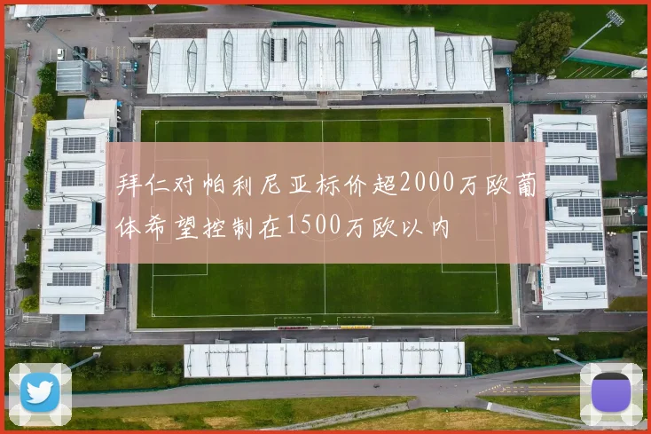 拜仁对帕利尼亚标价超2000万欧葡体希望控制在1500万欧以内